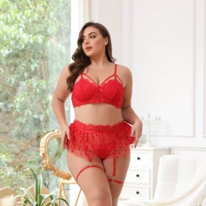 Plus Size Lace Bra Panty Lingerie Set with Sheer Heart Mesh Skirt – Romantic Two-Piece Babydoll for Women